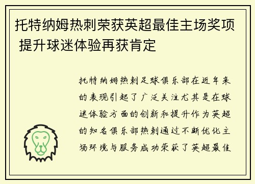 托特纳姆热刺荣获英超最佳主场奖项 提升球迷体验再获肯定